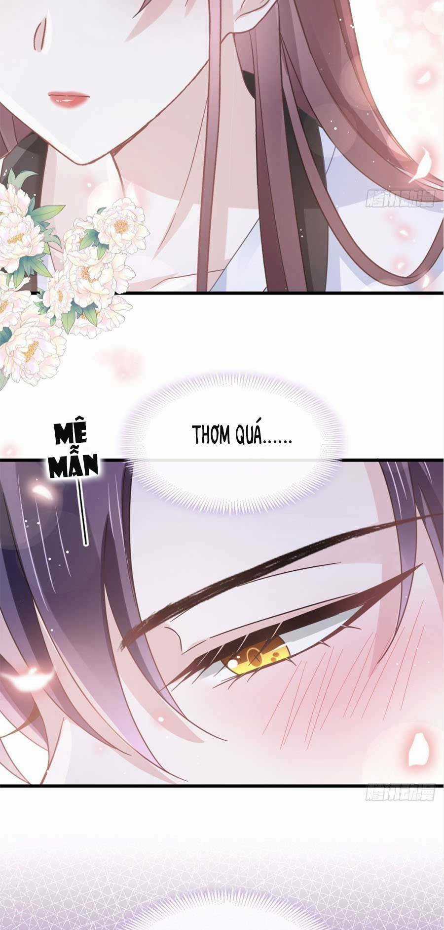 Trọng Sinh Trở Thành Món Tráng Miệng Của Tổng Tài Ma Cà Rồng Chapter 31 trang 16