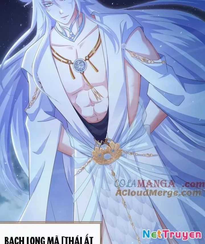 Trụ Vương Tái Sinh Không Muốn Làm Đại Phản Diện Chương 102 trang 42