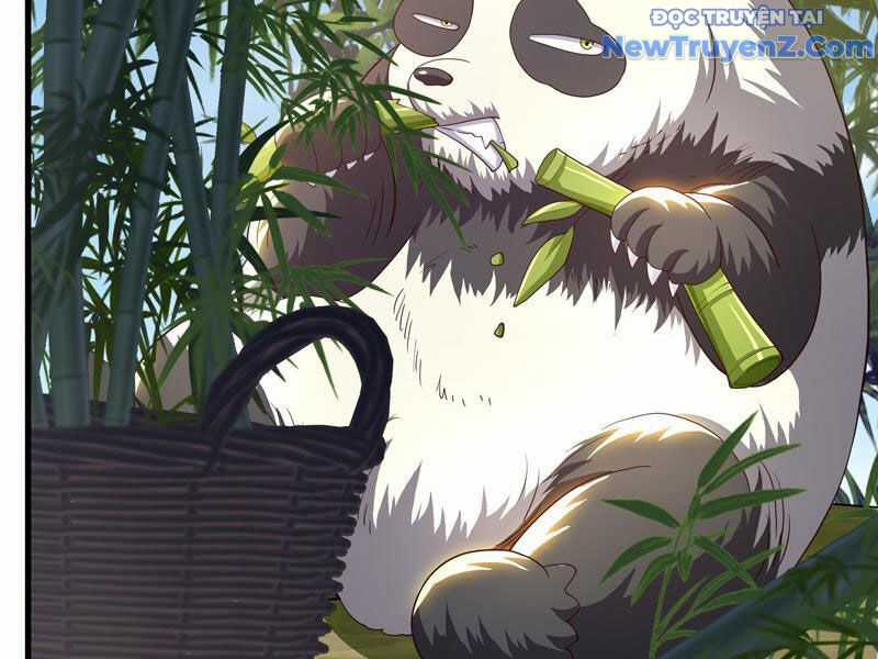 Trụ Vương Tái Sinh Không Muốn Làm Đại Phản Diện Chương 105 trang 86