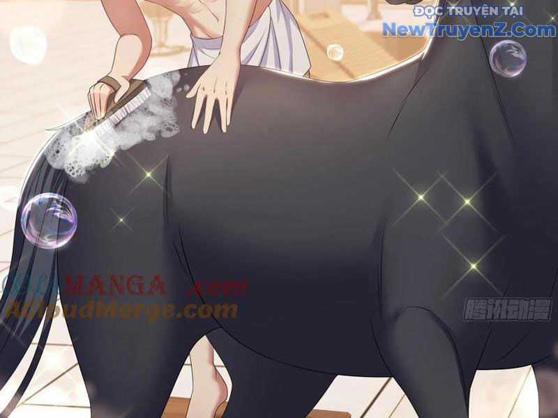 Trụ Vương Tái Sinh Không Muốn Làm Đại Phản Diện Chương 106 trang 59