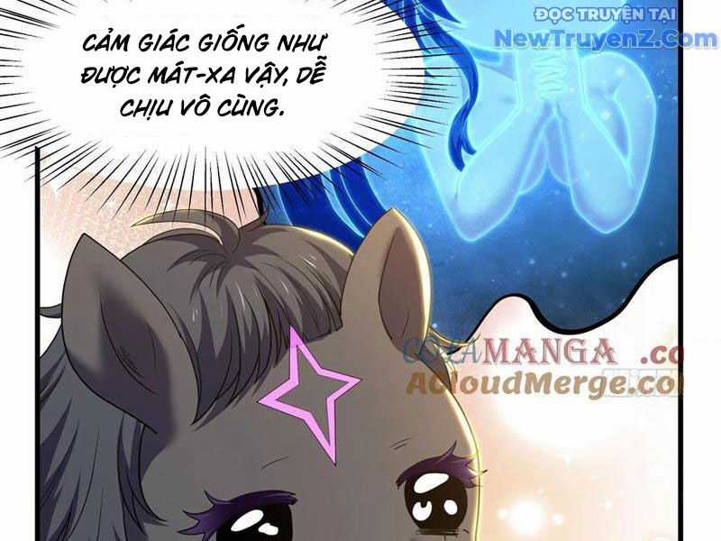 Trụ Vương Tái Sinh Không Muốn Làm Đại Phản Diện Chương 106 trang 65