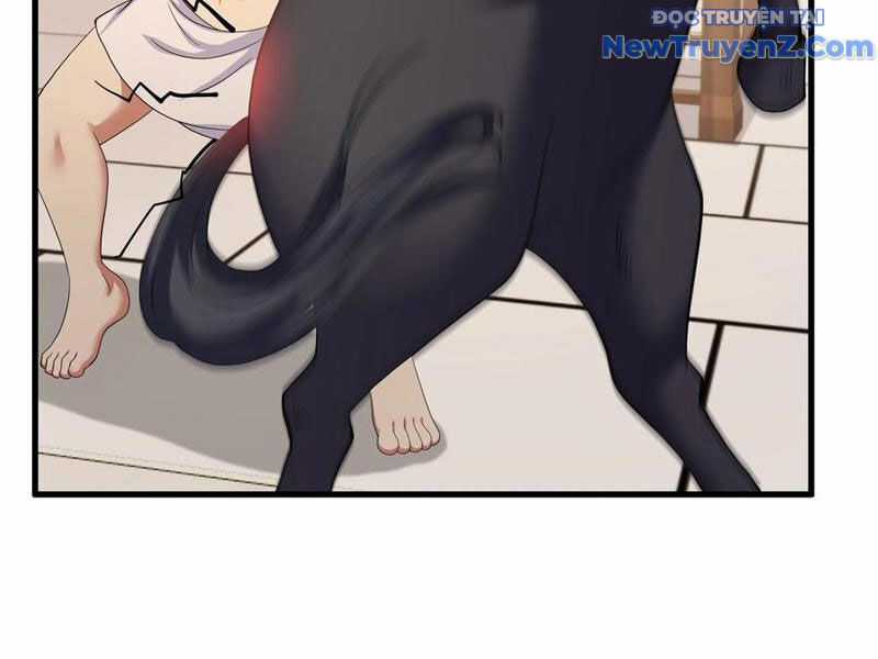 Trụ Vương Tái Sinh Không Muốn Làm Đại Phản Diện Chương 106 trang 76