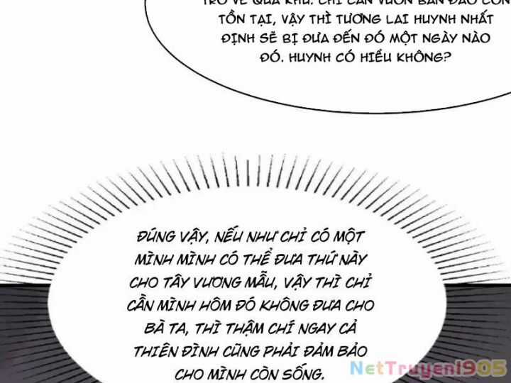 Trụ Vương Tái Sinh Không Muốn Làm Đại Phản Diện Chương 131 trang 55