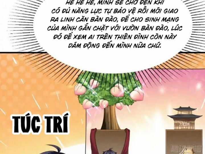 Trụ Vương Tái Sinh Không Muốn Làm Đại Phản Diện Chương 131 trang 58