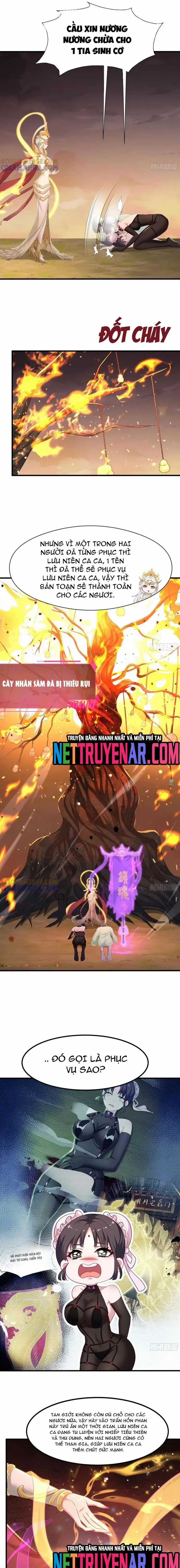 Trụ Vương Tái Sinh Không Muốn Làm Đại Phản Diện Chương 133 trang 7