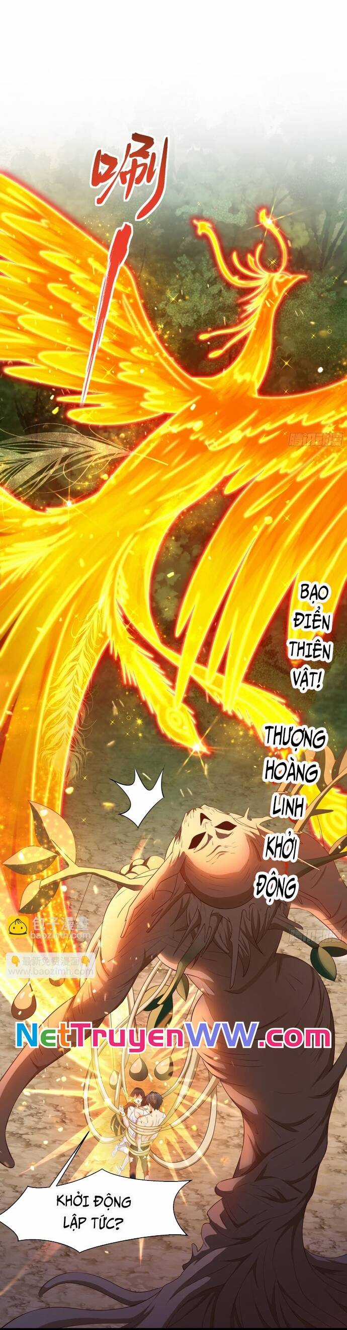 Trụ Vương Tái Sinh Không Muốn Làm Đại Phản Diện Chương 4 trang 2