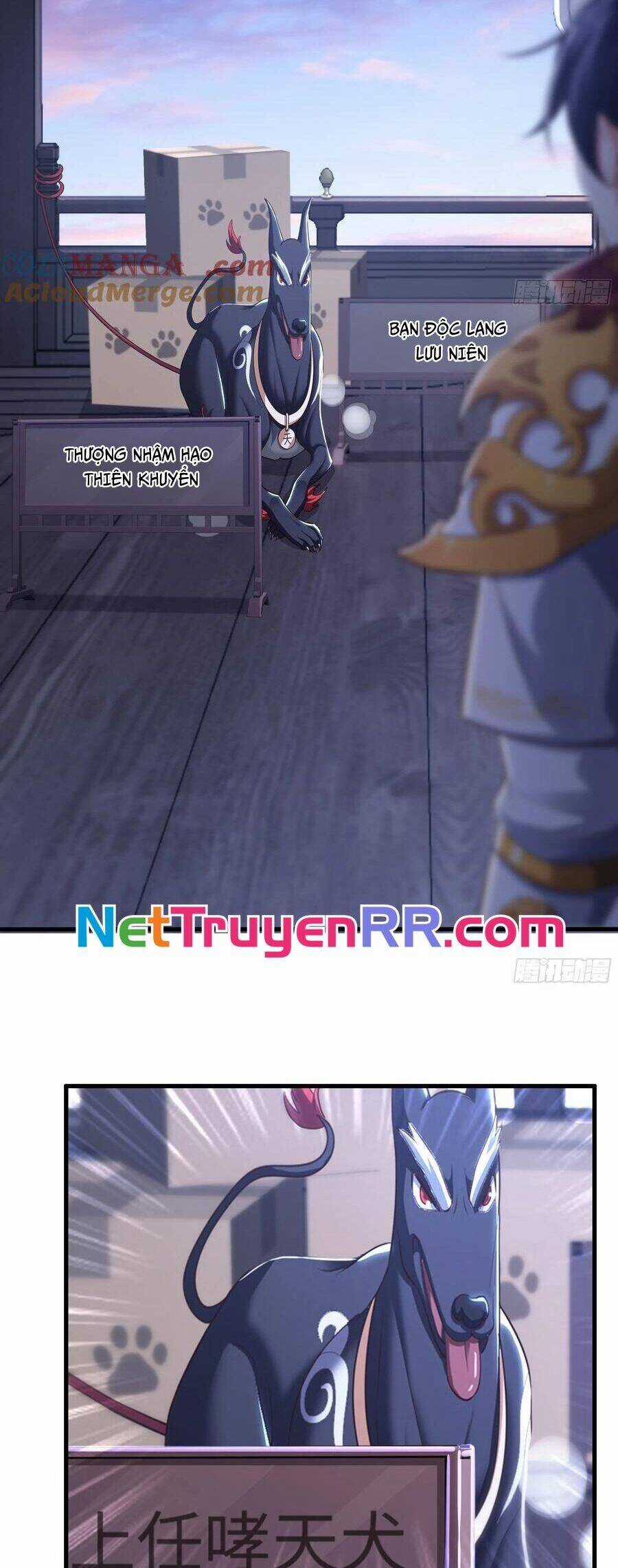 Trụ Vương Tái Sinh Không Muốn Làm Đại Phản Diện Chương 80 trang 10