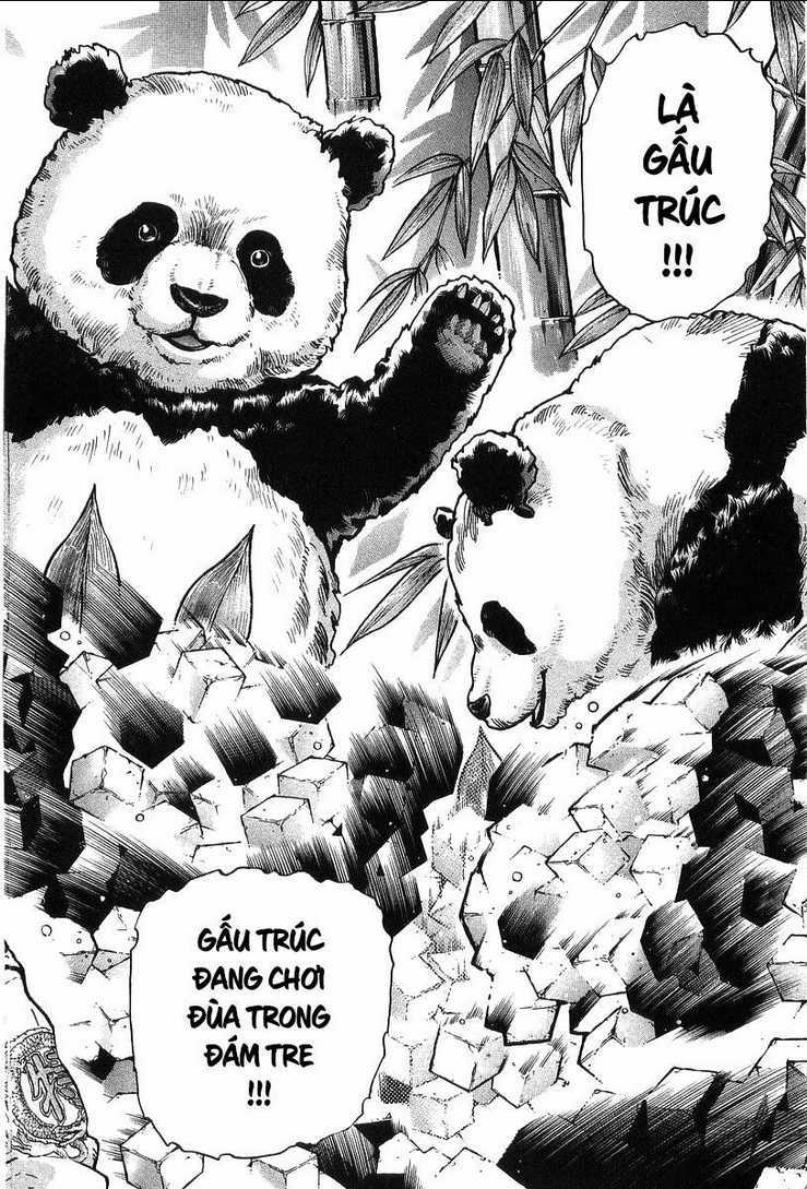 Trung Hoa Tiểu Đầu Bếp - Chuuka Ichiban Chapter 81 trang 5