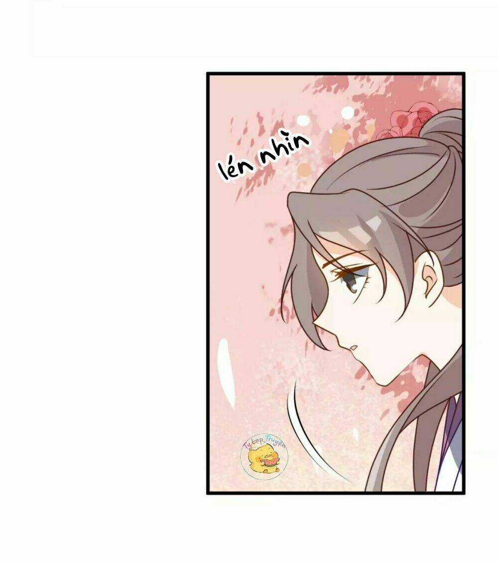 Trùng Sinh Chuyên Sủng Độc Phi Của Nhiếp Chính Vương Chapter 13 trang 12