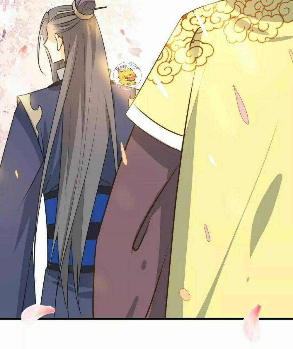 Trùng Sinh Chuyên Sủng Độc Phi Của Nhiếp Chính Vương Chapter 19 trang 15