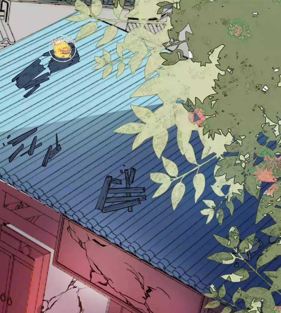 Trùng Sinh Chuyên Sủng Độc Phi Của Nhiếp Chính Vương Chapter 35 trang 46