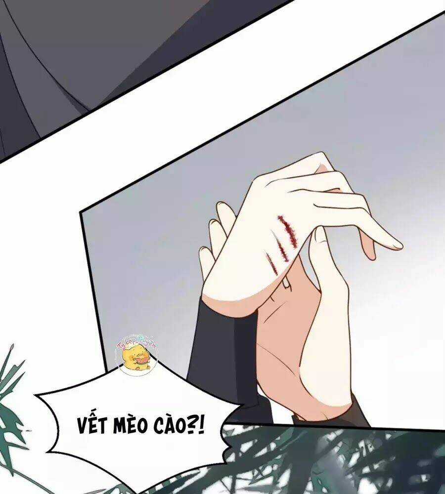 Trùng Sinh Chuyên Sủng Độc Phi Của Nhiếp Chính Vương Chapter 39 trang 73