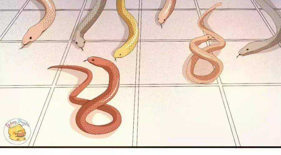 Trùng Sinh Chuyên Sủng Độc Phi Của Nhiếp Chính Vương Chapter 40 trang 55