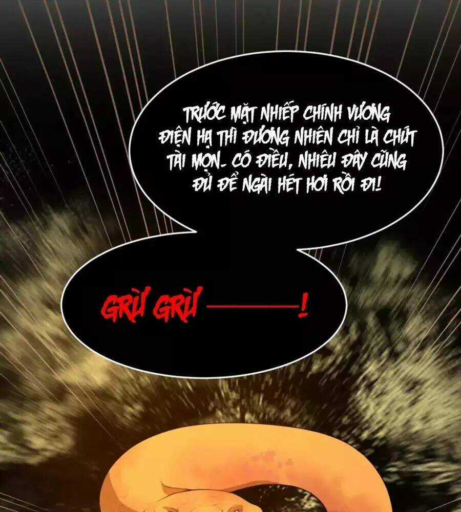 Trùng Sinh Chuyên Sủng Độc Phi Của Nhiếp Chính Vương Chapter 41 trang 11