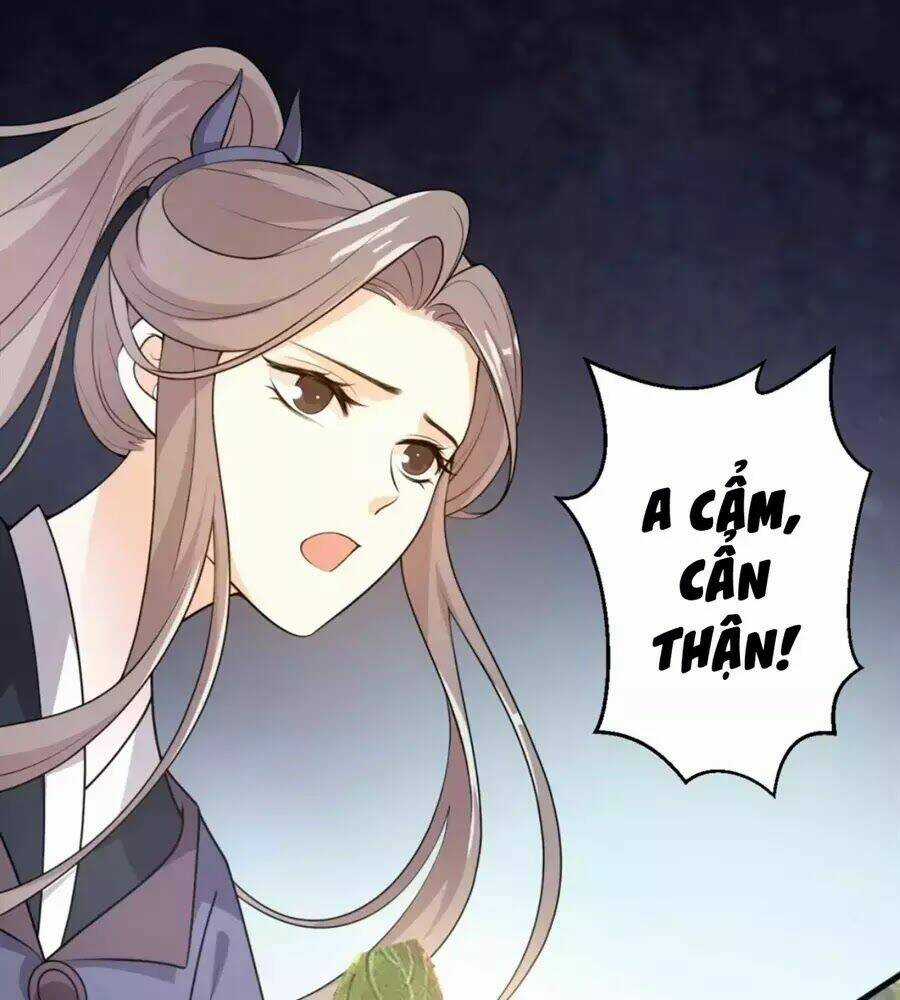 Trùng Sinh Chuyên Sủng Độc Phi Của Nhiếp Chính Vương Chapter 41 trang 14