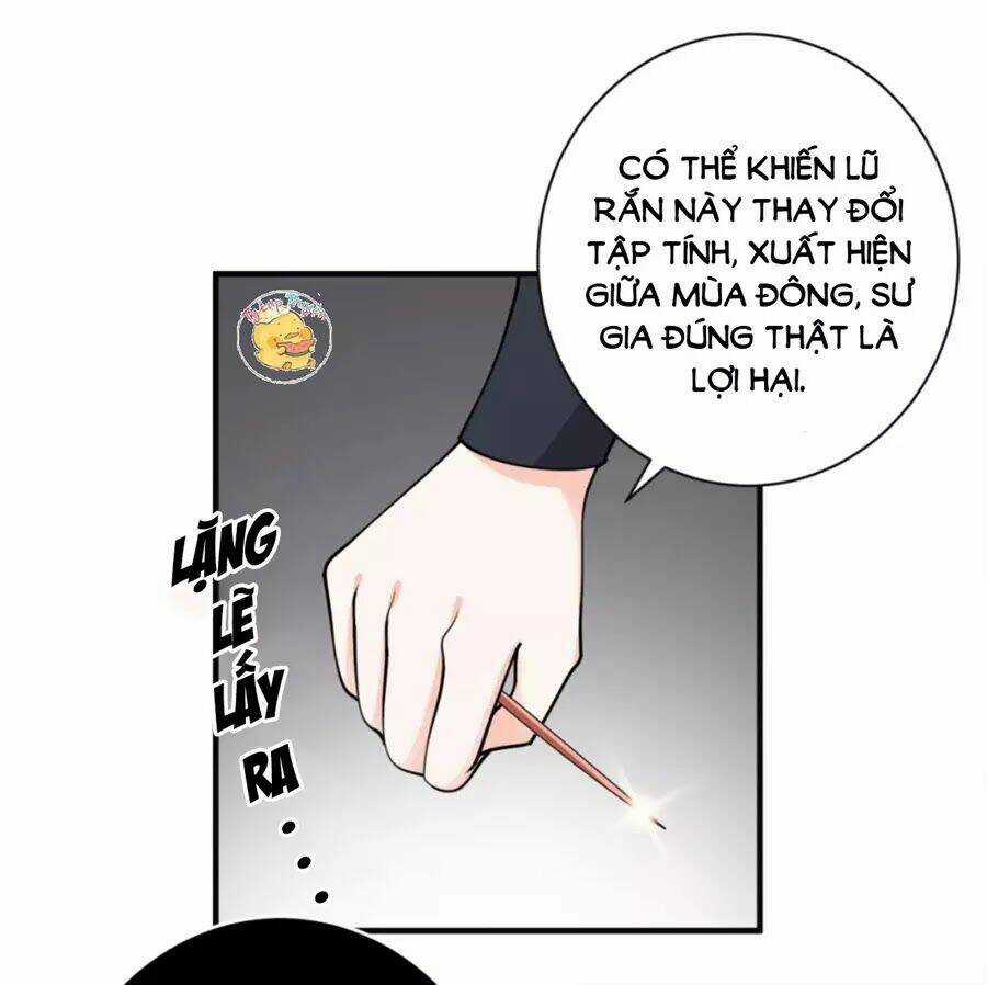 Trùng Sinh Chuyên Sủng Độc Phi Của Nhiếp Chính Vương Chapter 41 trang 19