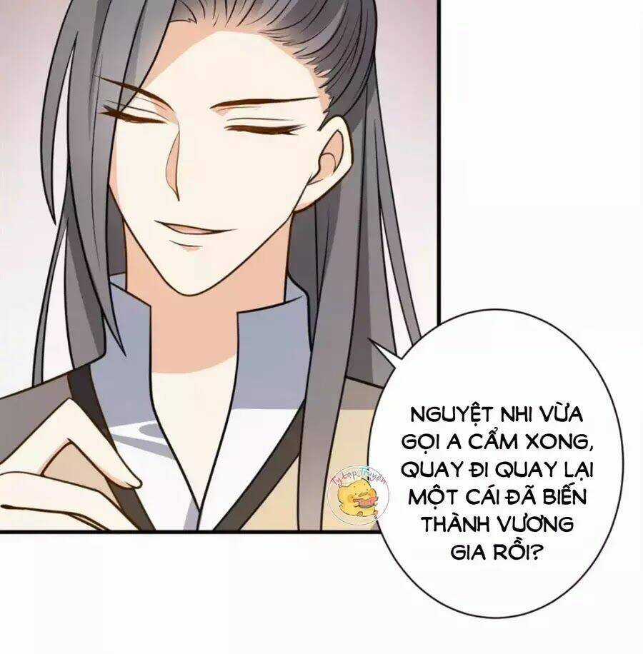 Trùng Sinh Chuyên Sủng Độc Phi Của Nhiếp Chính Vương Chapter 41 trang 47