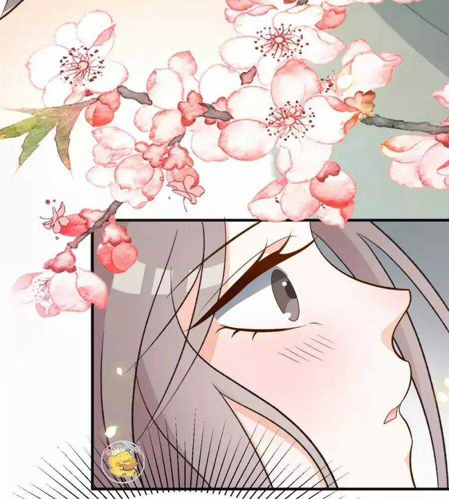 Trùng Sinh Chuyên Sủng Độc Phi Của Nhiếp Chính Vương Chapter 41 trang 51