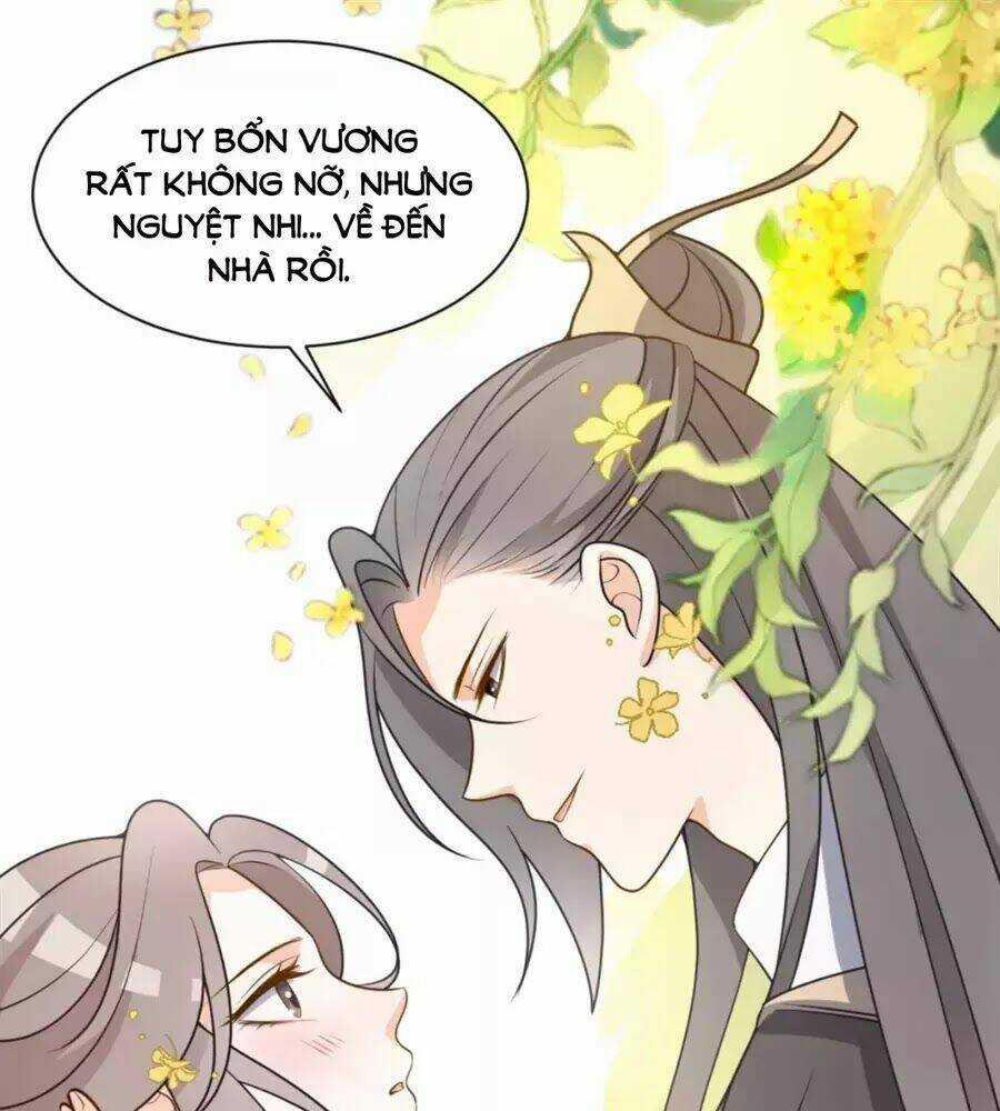 Trùng Sinh Chuyên Sủng Độc Phi Của Nhiếp Chính Vương Chapter 42 trang 44