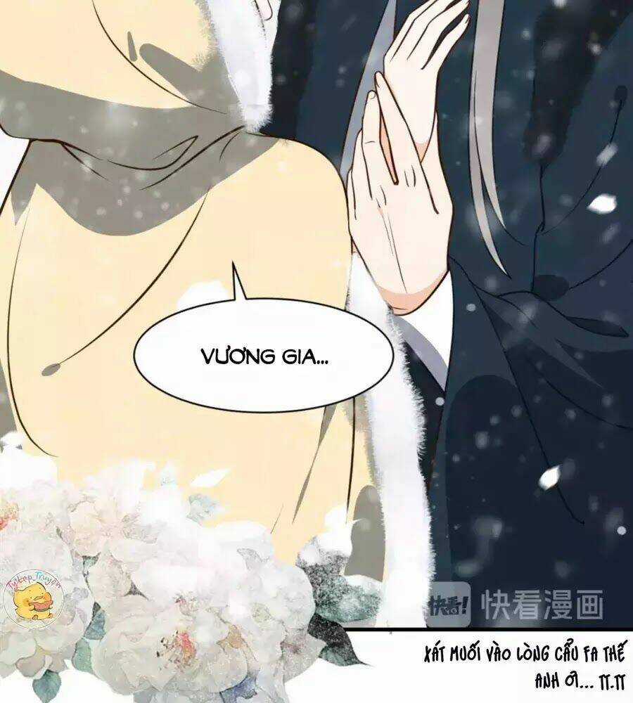 Trùng Sinh Chuyên Sủng Độc Phi Của Nhiếp Chính Vương Chapter 47 trang 37
