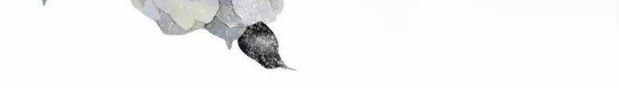 Trùng Sinh Chuyên Sủng Độc Phi Của Nhiếp Chính Vương Chapter 47 trang 38