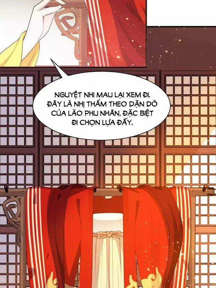 Trùng Sinh Chuyên Sủng Độc Phi Của Nhiếp Chính Vương Chapter 48 trang 11