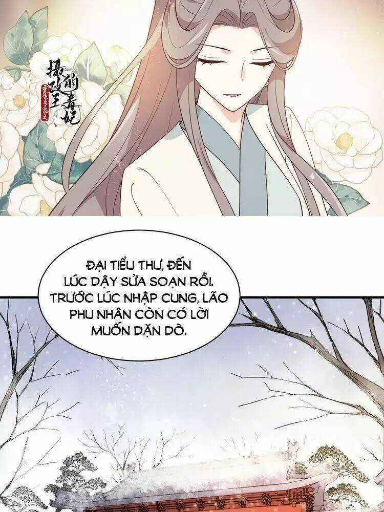 Trùng Sinh Chuyên Sủng Độc Phi Của Nhiếp Chính Vương Chapter 48 trang 3