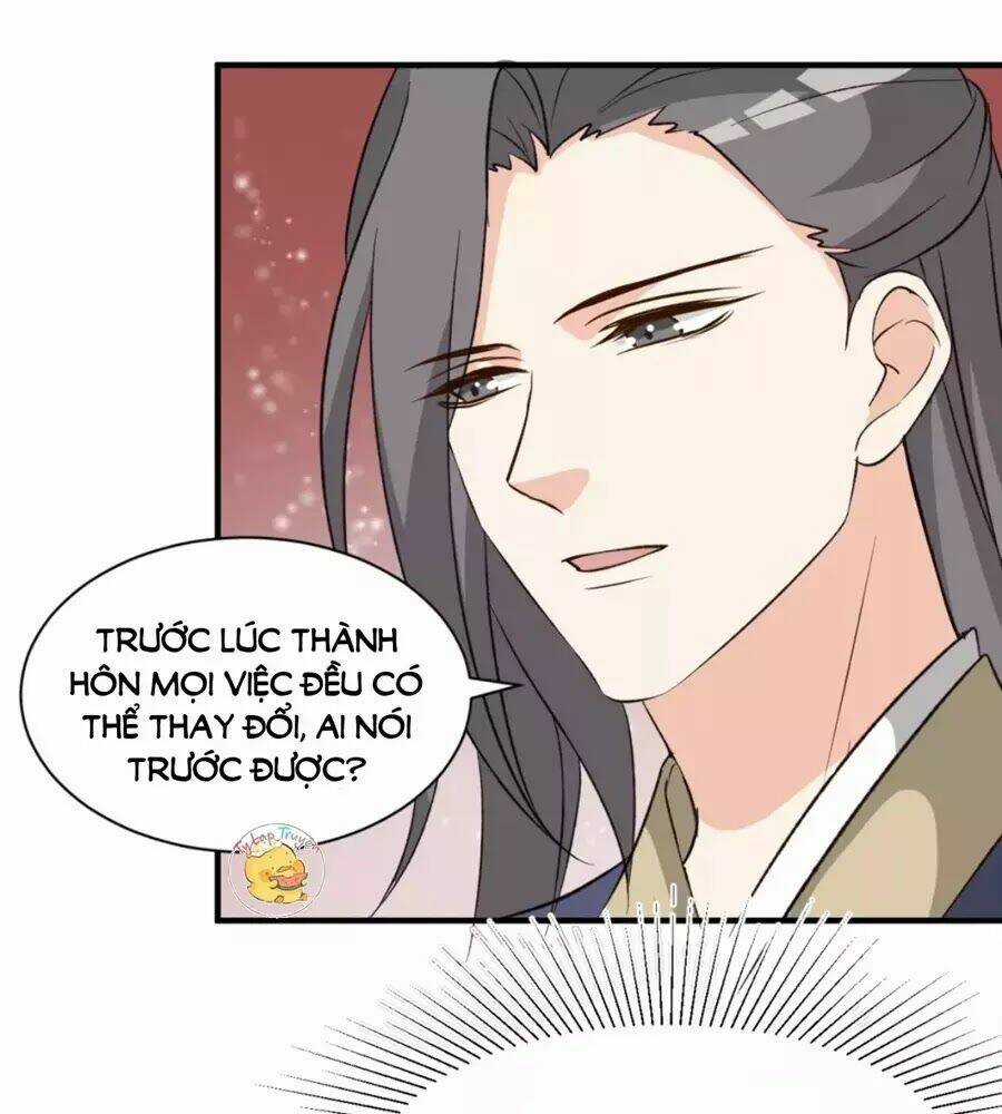 Trùng Sinh Chuyên Sủng Độc Phi Của Nhiếp Chính Vương Chapter 49 trang 23