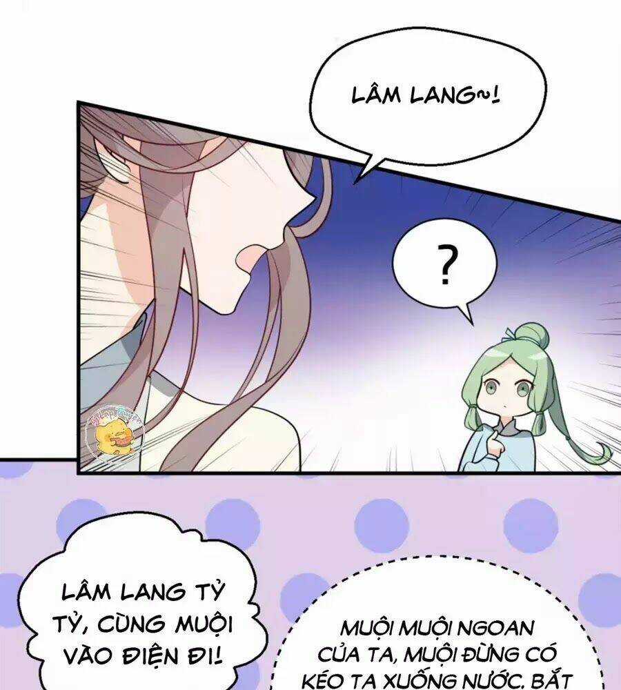 Trùng Sinh Chuyên Sủng Độc Phi Của Nhiếp Chính Vương Chapter 50 trang 12