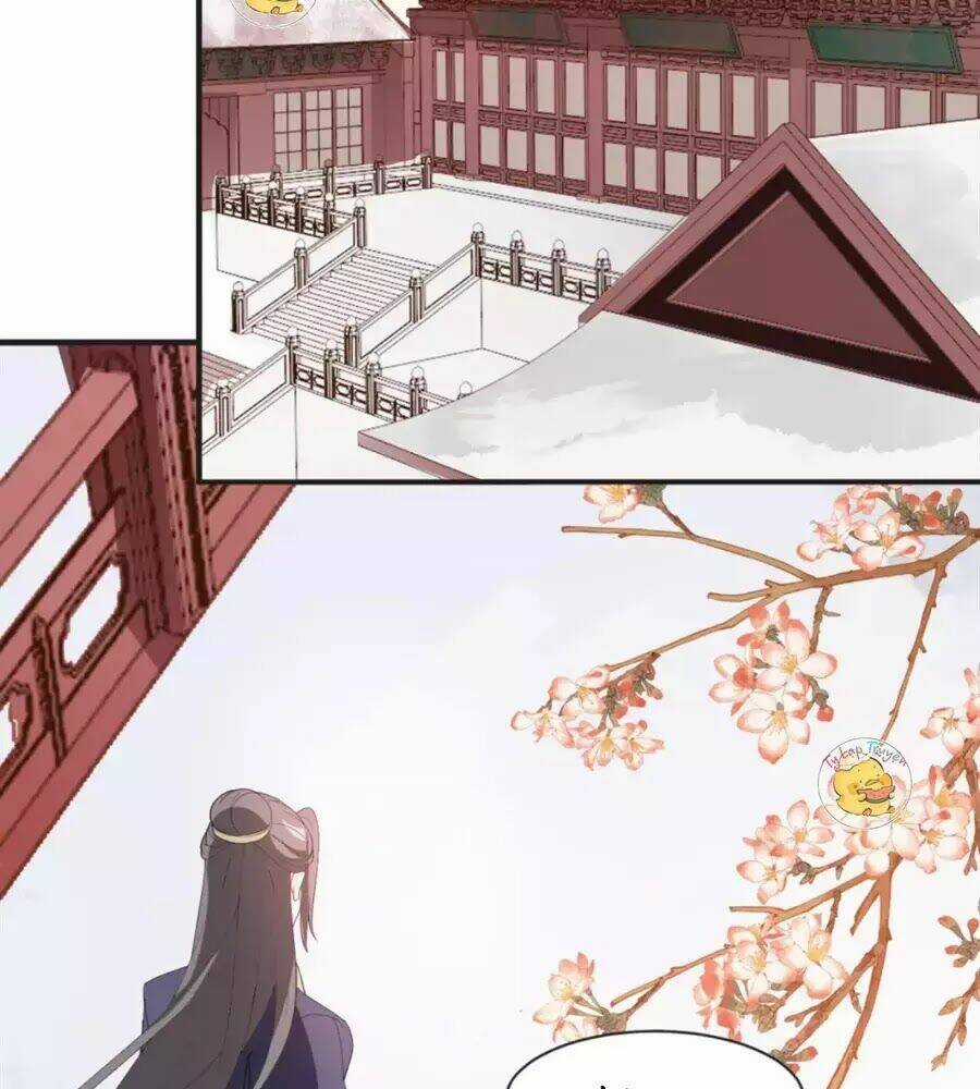 Trùng Sinh Chuyên Sủng Độc Phi Của Nhiếp Chính Vương Chapter 50 trang 4