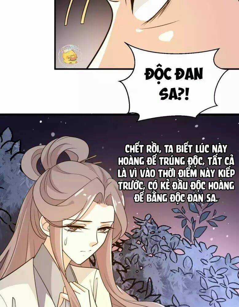 Trùng Sinh Chuyên Sủng Độc Phi Của Nhiếp Chính Vương Chapter 57 trang 17