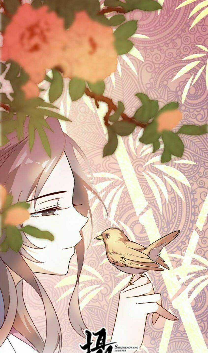 Trùng Sinh Chuyên Sủng Độc Phi Của Nhiếp Chính Vương Chapter 8 trang 2