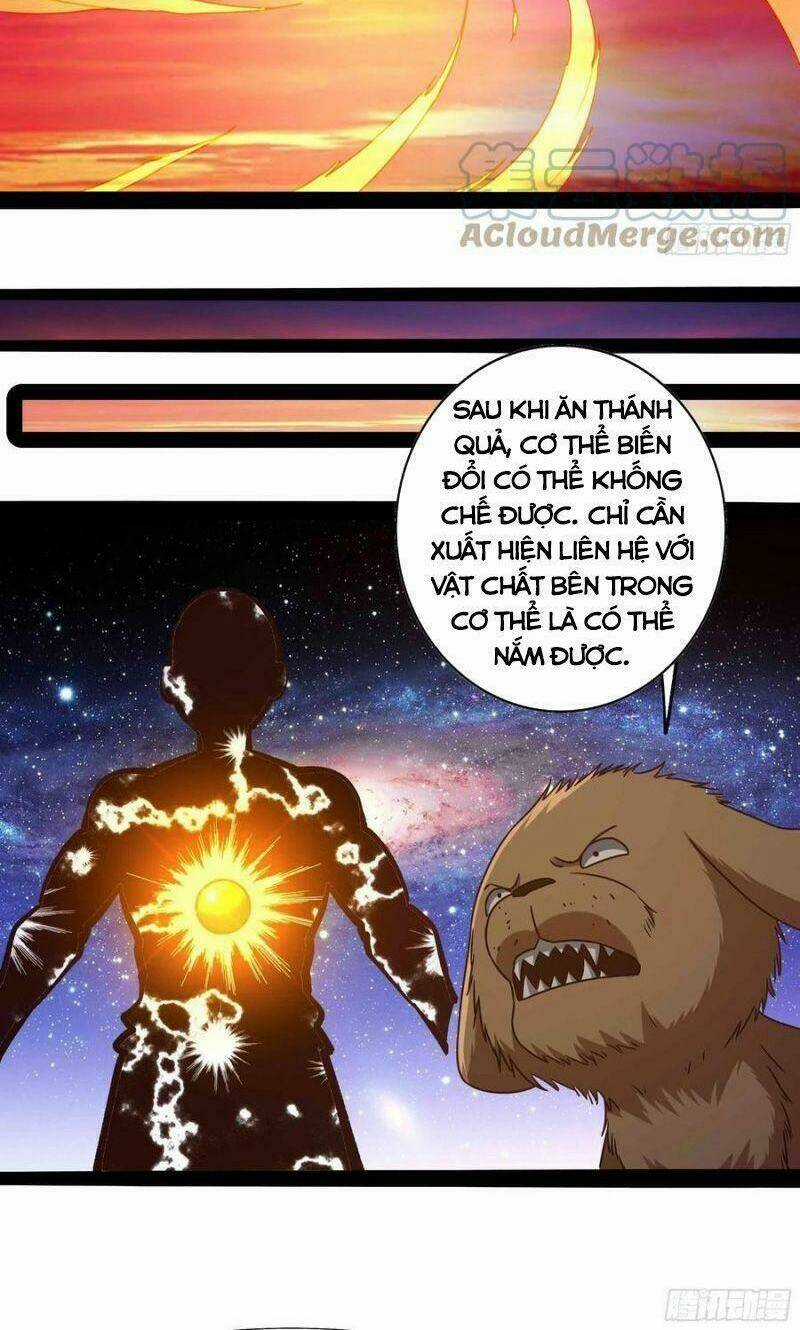 Trùng Sinh Đô Thị Thiên Tôn Chapter 294 trang 9