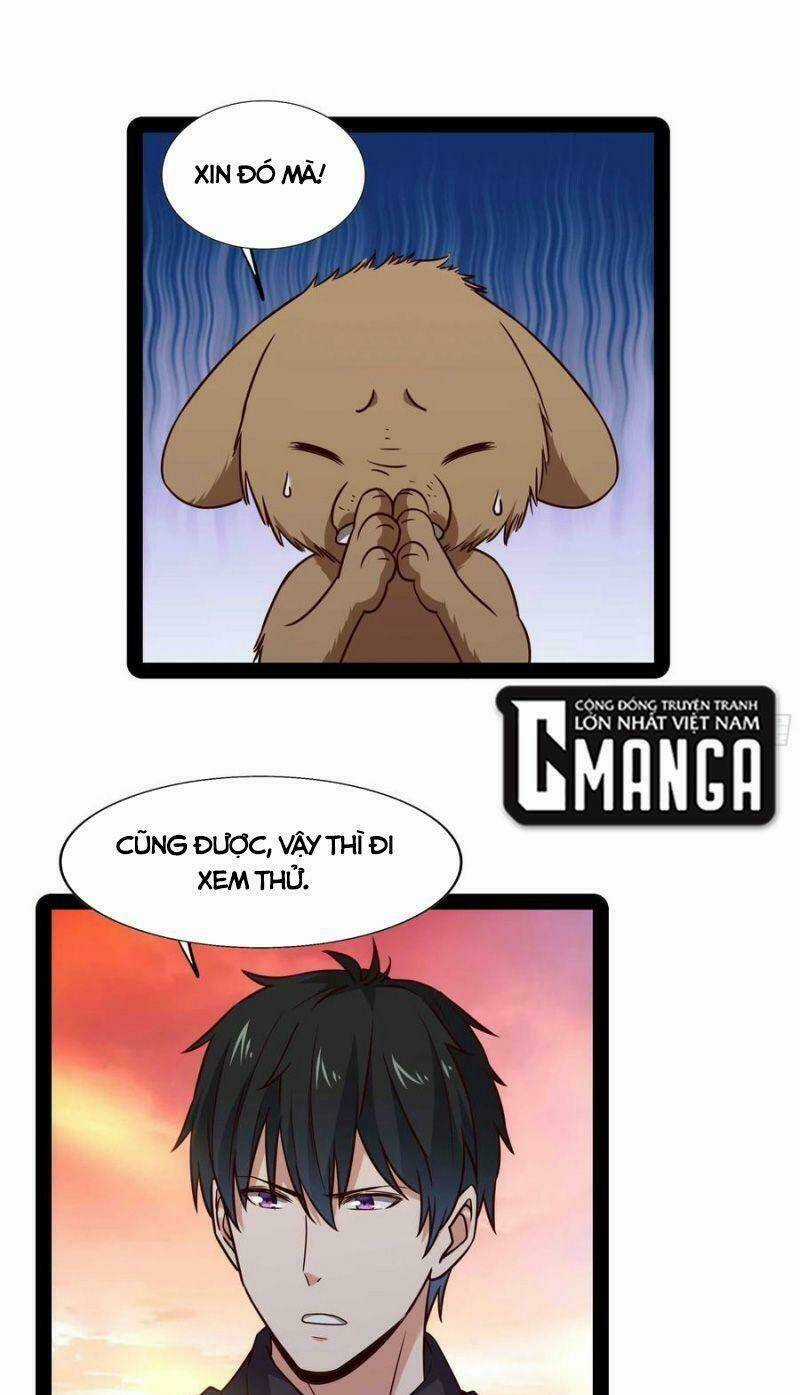 Trùng Sinh Đô Thị Thiên Tôn Chapter 295 trang 15