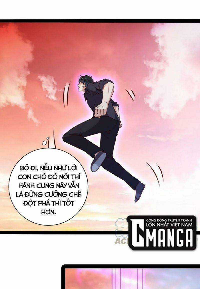 Trùng Sinh Đô Thị Thiên Tôn Chapter 295 trang 4