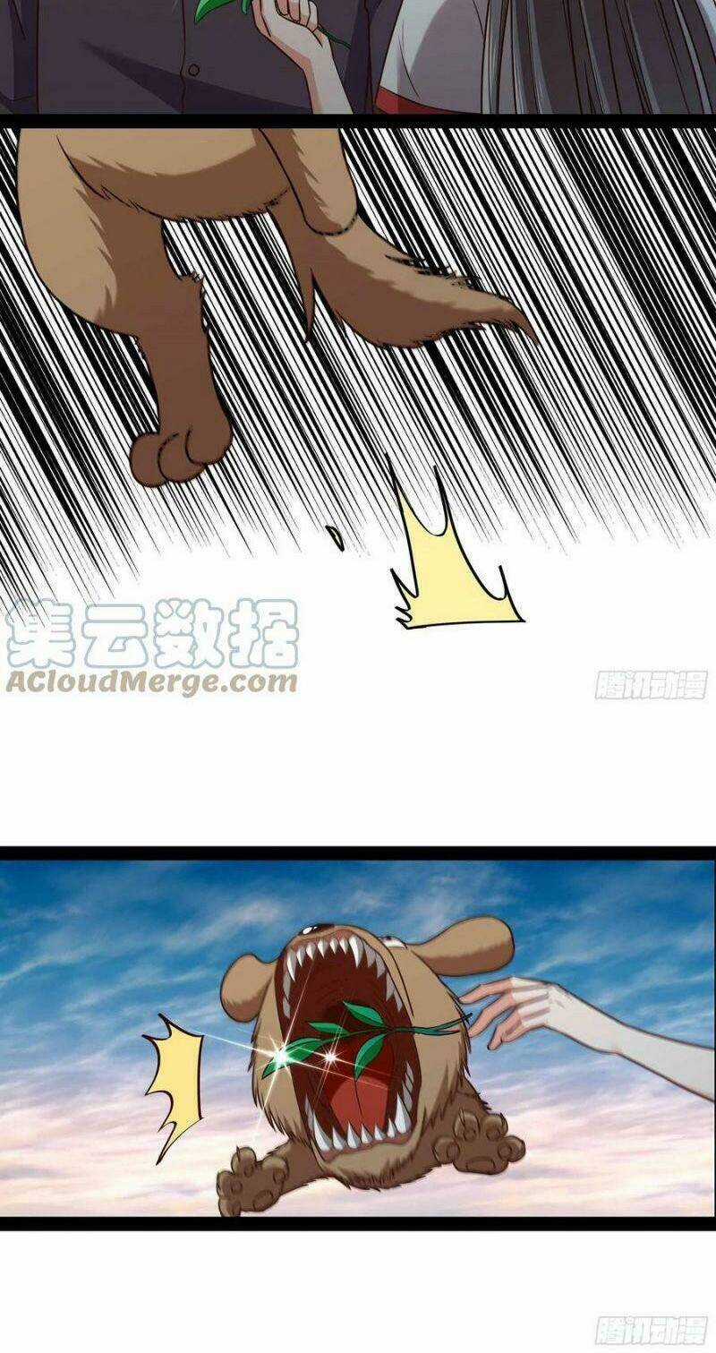 Trùng Sinh Đô Thị Thiên Tôn Chapter 296 trang 11