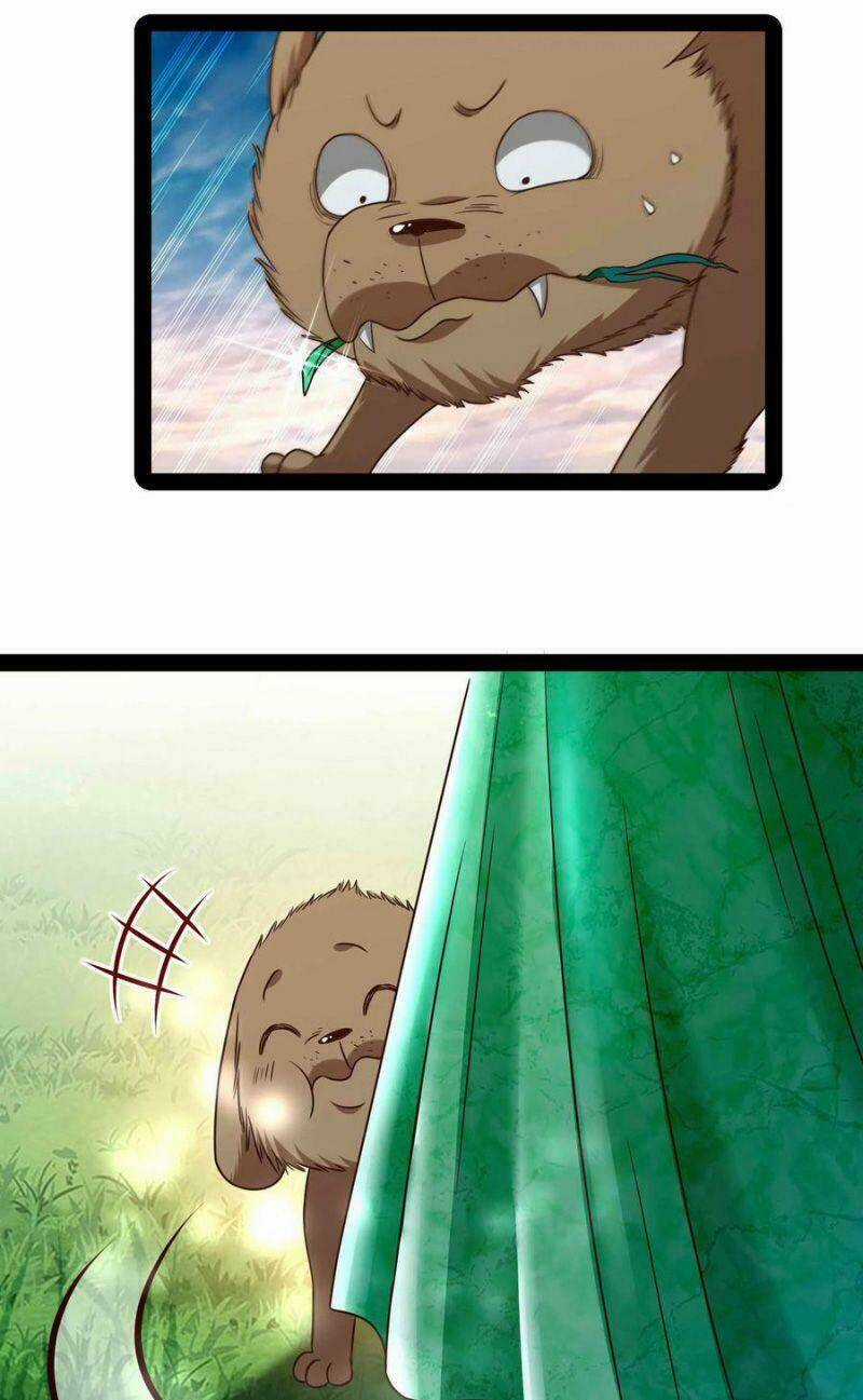 Trùng Sinh Đô Thị Thiên Tôn Chapter 296 trang 12