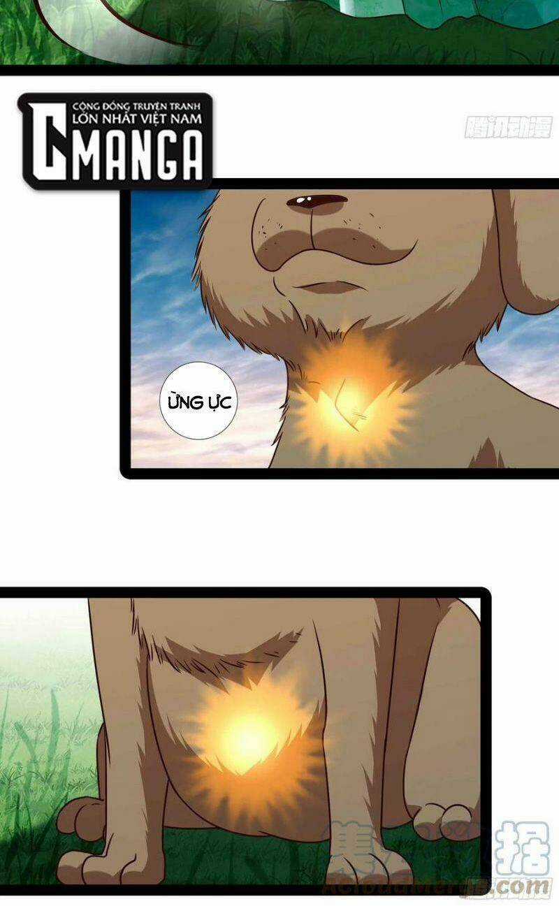 Trùng Sinh Đô Thị Thiên Tôn Chapter 296 trang 13