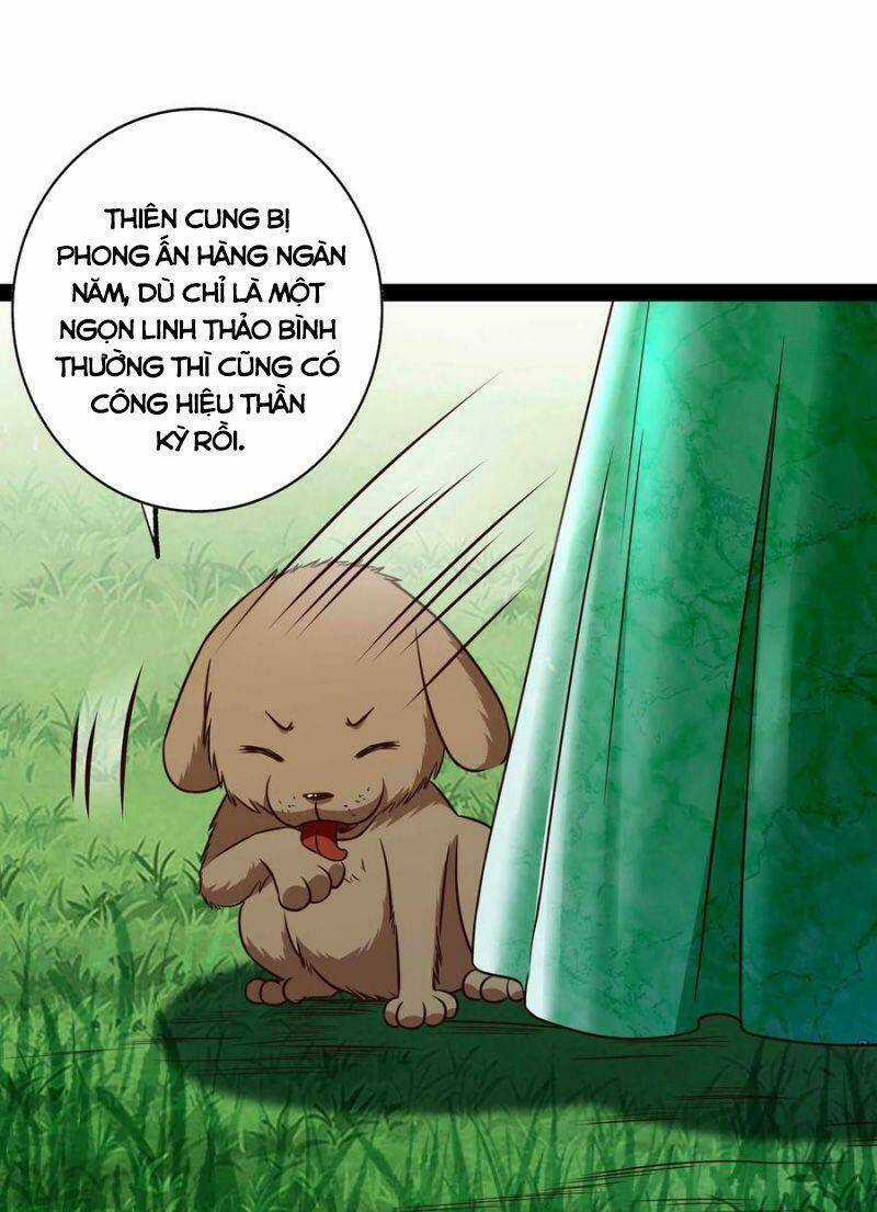 Trùng Sinh Đô Thị Thiên Tôn Chapter 296 trang 14