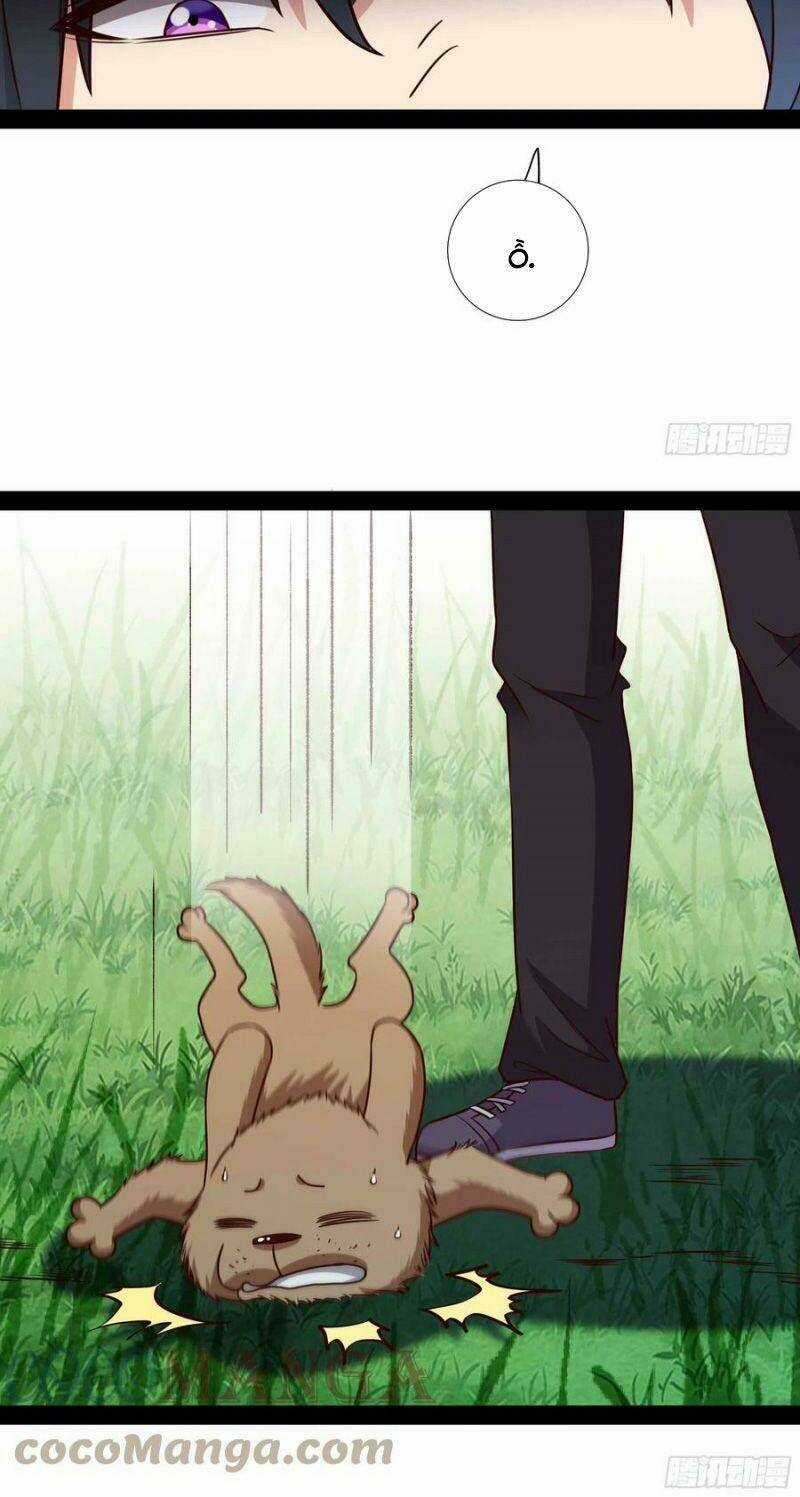 Trùng Sinh Đô Thị Thiên Tôn Chapter 297 trang 13