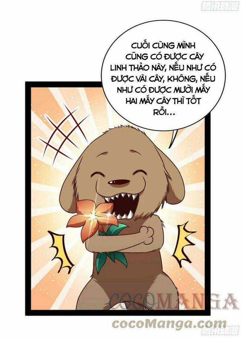 Trùng Sinh Đô Thị Thiên Tôn Chapter 297 trang 19