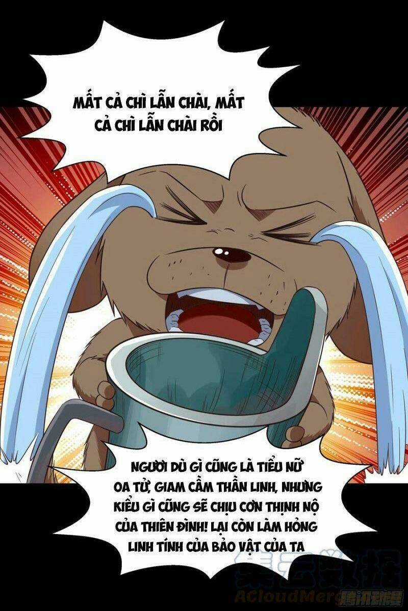 Trùng Sinh Đô Thị Thiên Tôn Chapter 308 trang 4