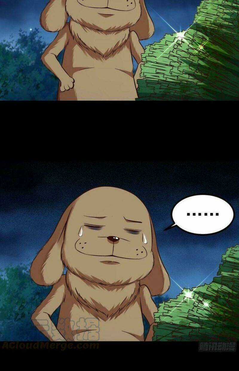 Trùng Sinh Đô Thị Thiên Tôn Chapter 313 trang 16