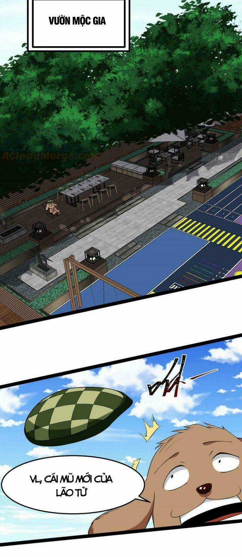 Trùng Sinh Đô Thị Thiên Tôn Chapter 336 trang 17