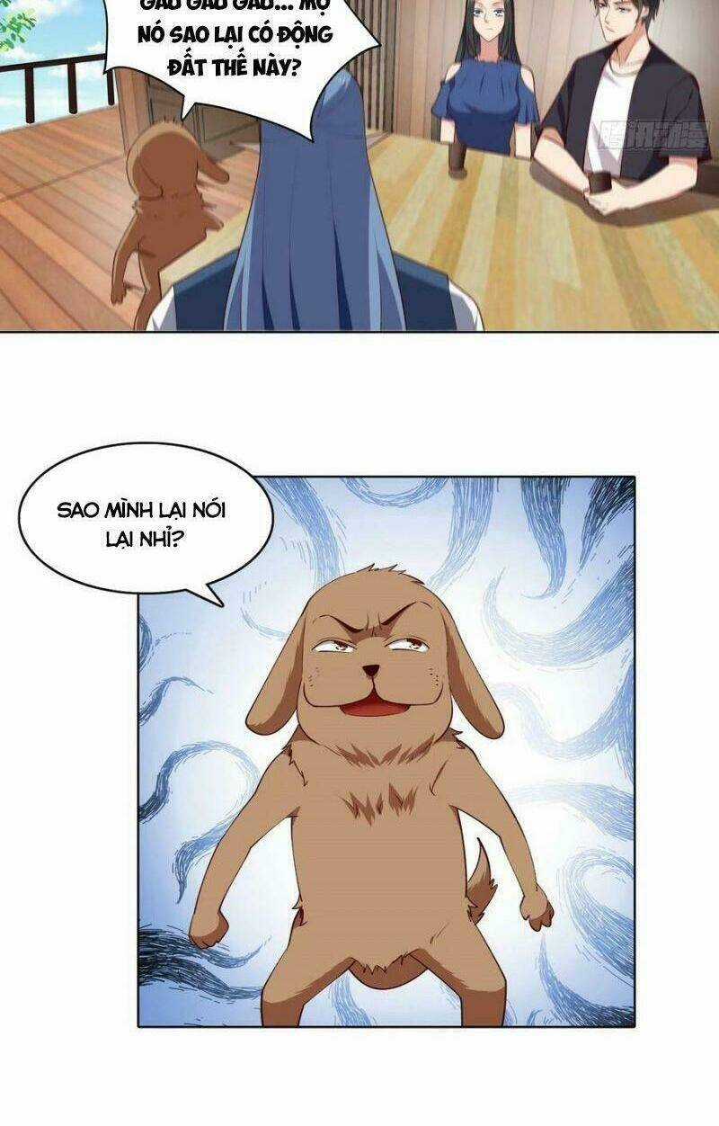 Trùng Sinh Đô Thị Thiên Tôn Chapter 347 trang 21