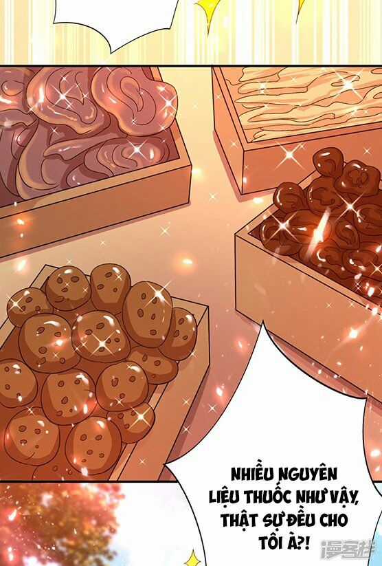 Trùng Sinh Không Gian: Cô Vợ Hào Môn Nóng Bỏng Không Dễ Chọc Chapter 14 trang 7