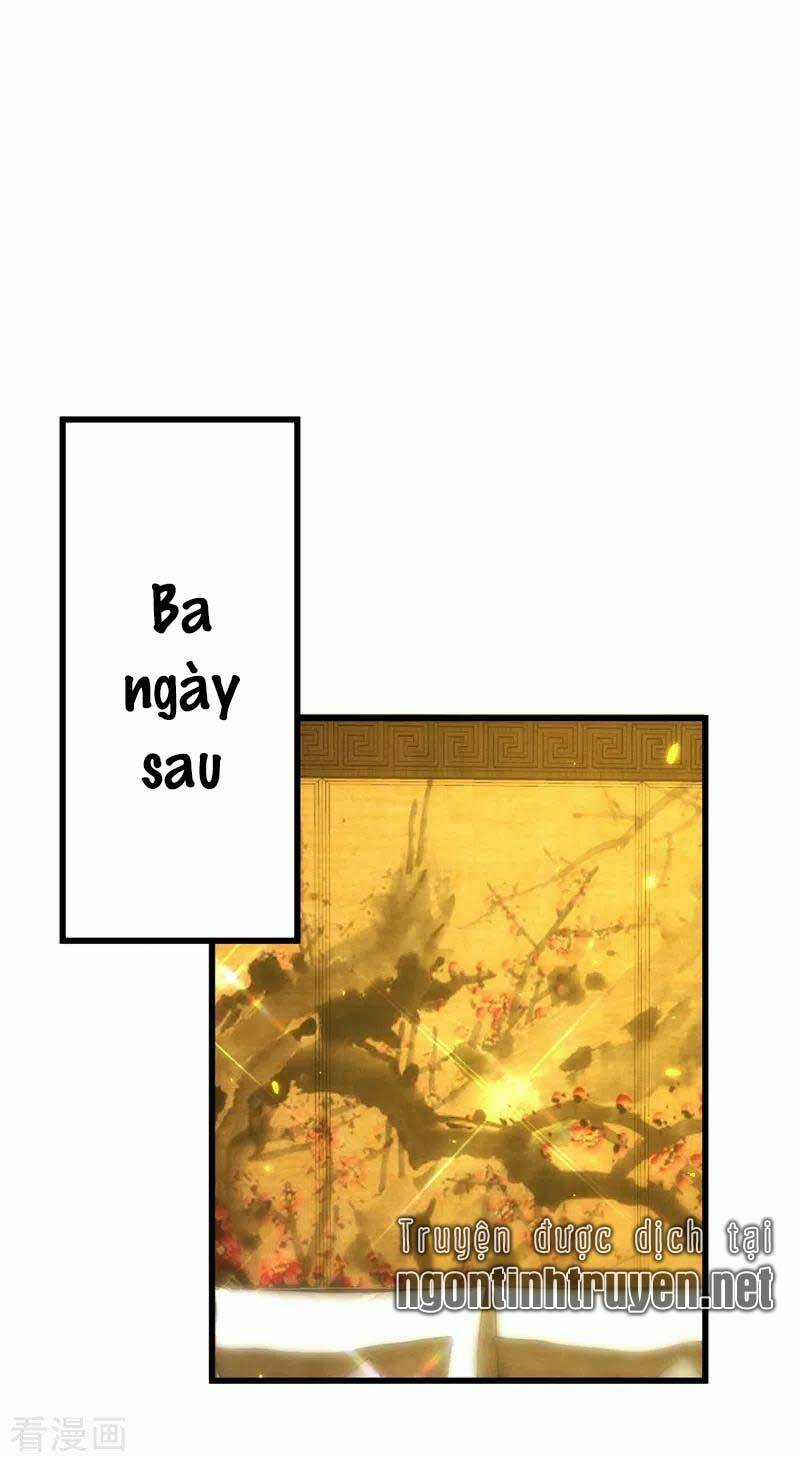 Trùng Sinh Không Gian: Cô Vợ Hào Môn Nóng Bỏng Không Dễ Chọc Chapter 141 trang 17