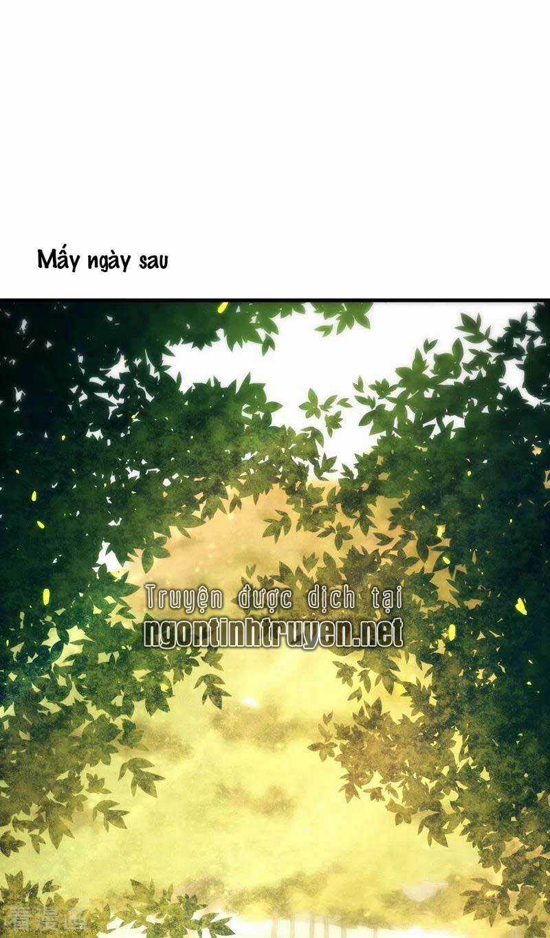 Trùng Sinh Không Gian: Cô Vợ Hào Môn Nóng Bỏng Không Dễ Chọc Chapter 146 trang 2