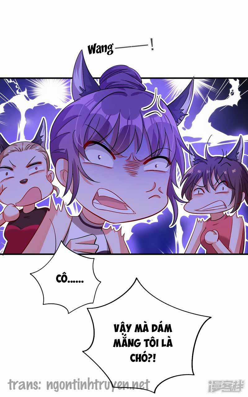 Trùng Sinh Không Gian: Cô Vợ Hào Môn Nóng Bỏng Không Dễ Chọc Chapter 15 trang 3