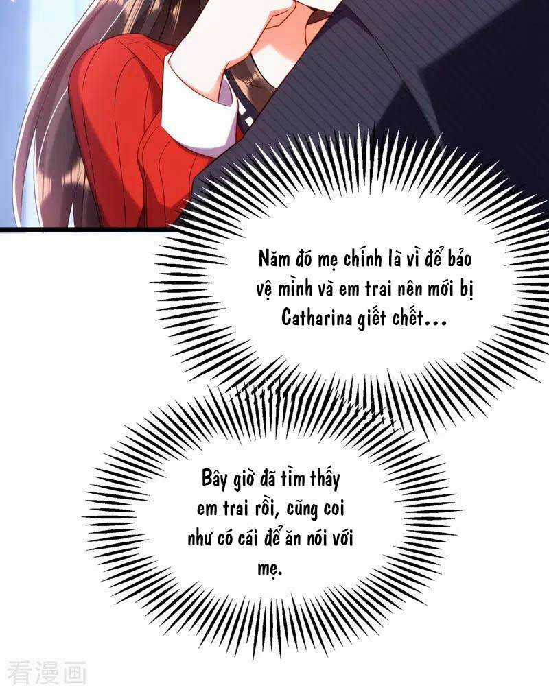 Trùng Sinh Không Gian: Cô Vợ Hào Môn Nóng Bỏng Không Dễ Chọc Chapter 151 trang 23